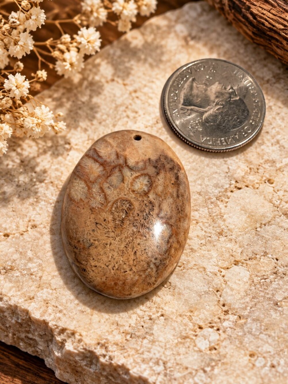 Natural Fossil Coral Stone Pendant Bead – Polished Oval